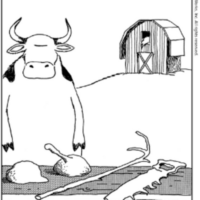 A Special Presentation 54: More Tales from the Far Side