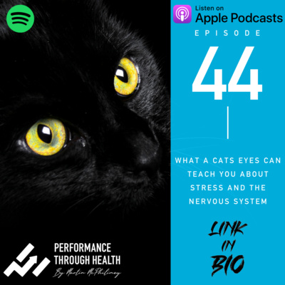 Performance Through Health