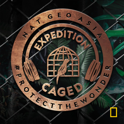 Expedition: Earth