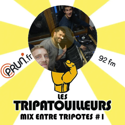 Les Tripatouilleurs