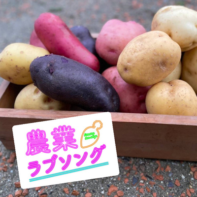 #48 ジャガイモ？バレイショ？ポテト雑学パート1 episode artwork