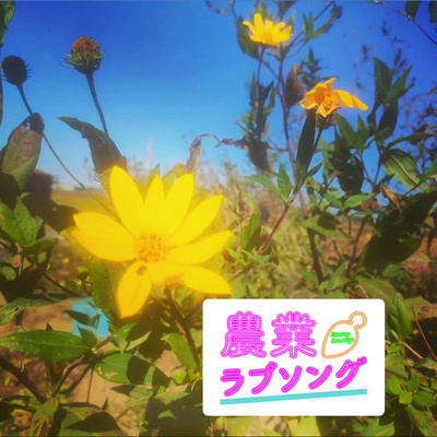 #104 人類の歴史は飢餓との闘い！血糖値マネージメントにおすすめの野菜キクイモの話！ episode artwork