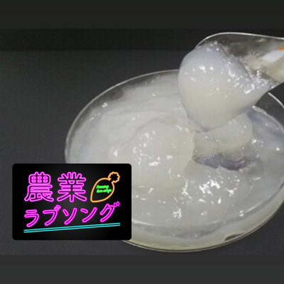 #108 植物×微生物＝新素材！？甜菜から生まれたセルロースナノファイバーはイマドキ新素材！ episode artwork