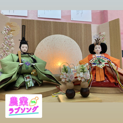 #109 人参染めの雛人形で碧南市に貢献！伝統野菜の新しい活用方法！ episode artwork