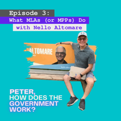 Peter, How Does The Government Work?