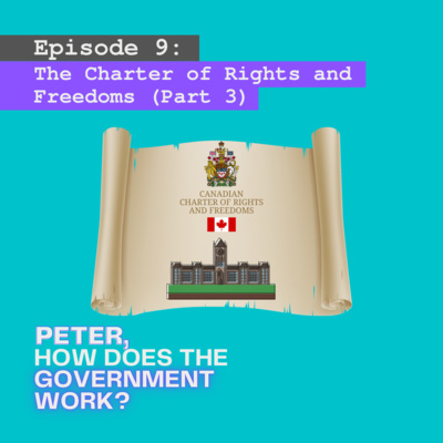 Peter, How Does The Government Work?