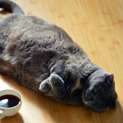 E13 - Comment apprendre le français quand on a la flemme ?