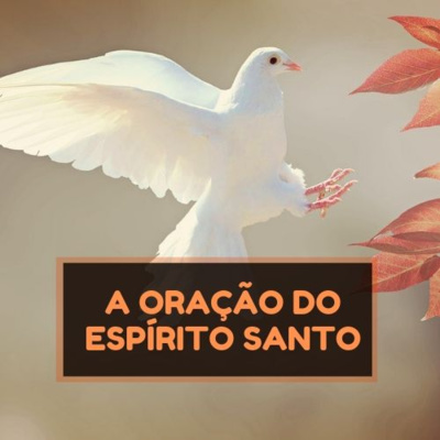 Palavra é Vidas! ❤️