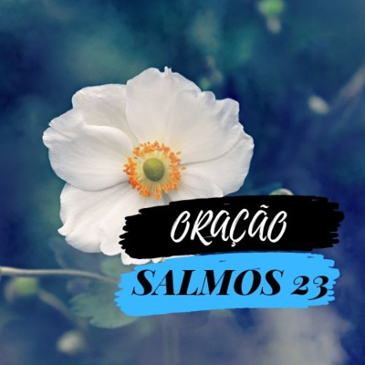 Palavra é Vidas! ❤️