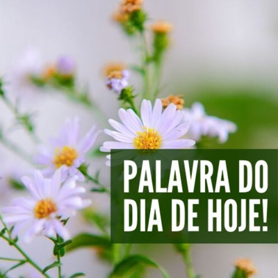 Palavra é Vidas! ❤️