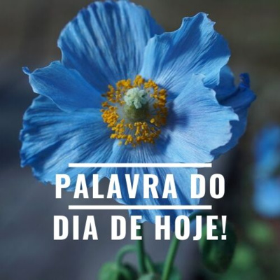 Palavra é Vidas! ❤️