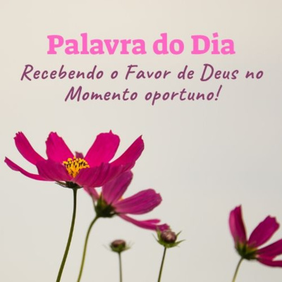 Palavra é Vidas! ❤️