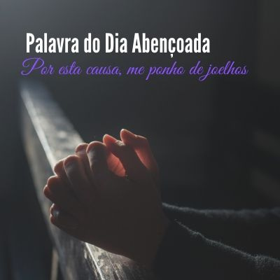 Palavra é Vidas! ❤️