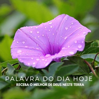 Palavra é Vidas! ❤️