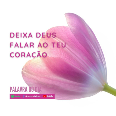 Palavra é Vidas! ❤️