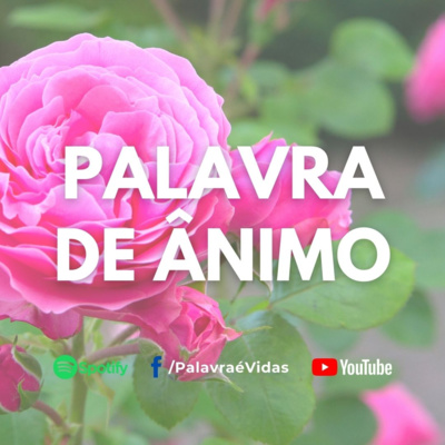Busque pela sabedoria de Deus - Palavra de Ânimo episode artwork