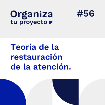 Organiza Tu Proyecto