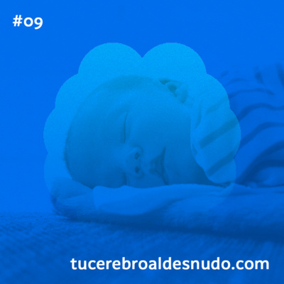 9. ¿Por qué duermo y por qué es tan importante?