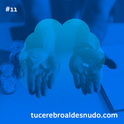 11. ¿Cómo toma decisiones mi cerebro?