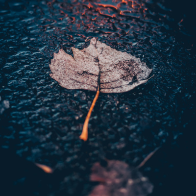 🌧️ 2ชม. วิธีปฏิบัติให้เข้าถึงประสบการณ์ภายใน+soft rain episode artwork