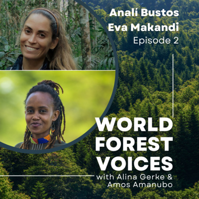 ep2 - From plans to action. Change-makers in forest and landscape restoration