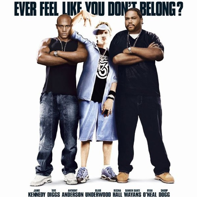 Malibu's Most Wanted(2003)