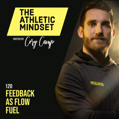 120. Feedback as Flow Fuel