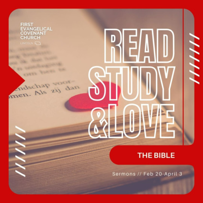Study the Bible: Conversations episode artwork