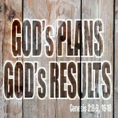 God's Plans - God's Results (Genesis 2:8-9, 16-18)