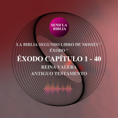 LA BIBLIA EN ESPAÑOL SANTIDAD A JESUCRISTO
