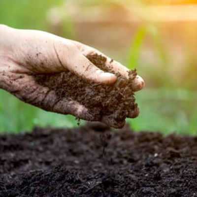 Programa 33 - Desarrollo agrícola amazónico basado en investigación agropecuaria episode artwork