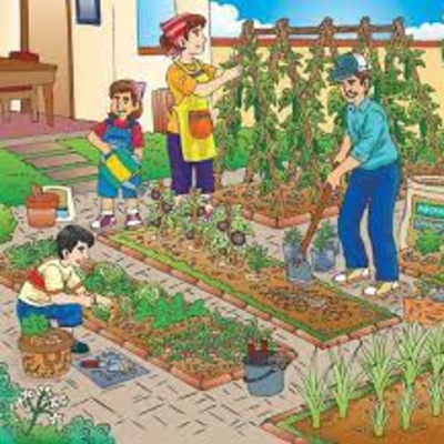 Programa 35 - Transferencia de técnicas agrícolas periurbanas y rurales episode artwork