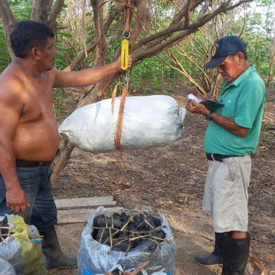 Programa 36 - Rol de los agrónomos en el desarrollo agrícola de la Amazonía episode artwork