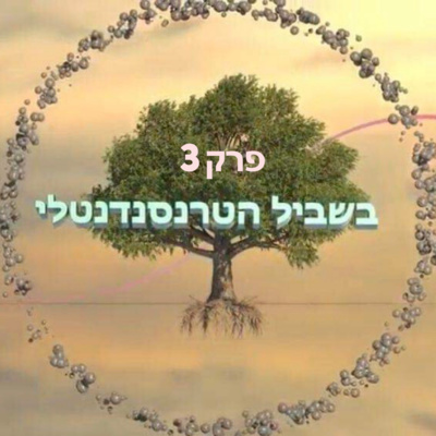 בדרך הטרנסנדנטלית פרק 3: פגישה ראשונה עם מהרישי מהש יוגי