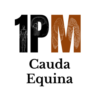 First Principles of Medicine