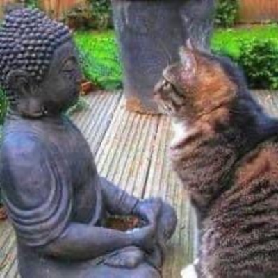 #39 wisdom is what facilitates the workings of love