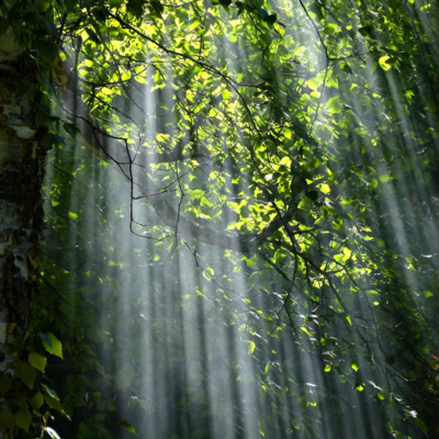 #120 Tout ce dont vous avez besoin est de faire confiance au Grand Esprit pour la bonne fortune