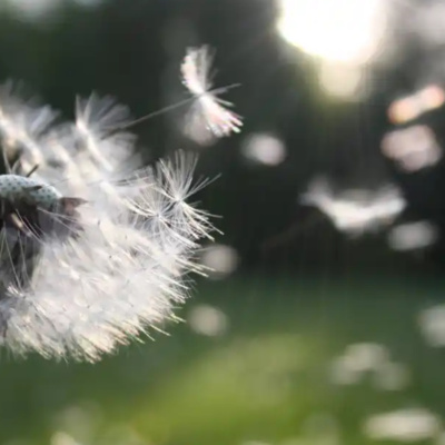 #154 How the Optimistic Wind can Blow