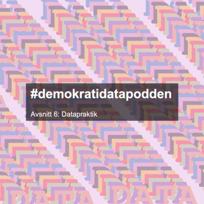 Avsnitt 6: Datapraktik