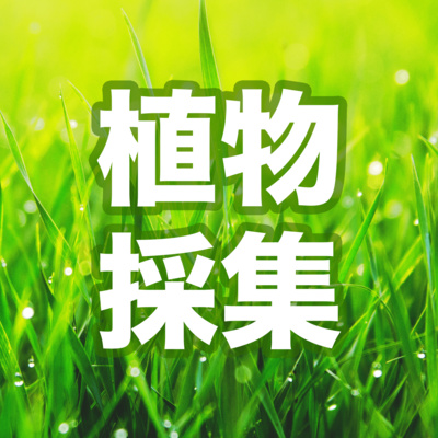 10 コデマリ 似てるけど違う ユキヤナギ シモツケ オオデマリ By 植物採集 街を歩いて草花の声を聴く 10 コデマリ 似てるけど違う ユキヤナギ シモツケ オオデマリ By 植物採集 街を歩いて草花の声を聴く