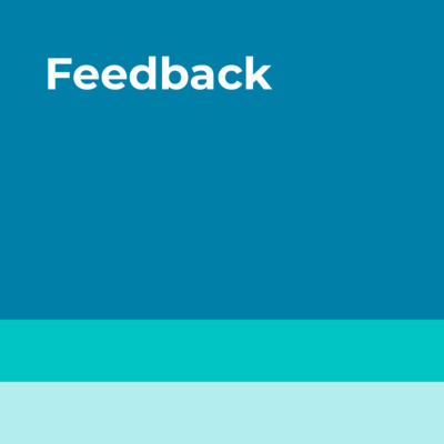 03 - Lo del feedback