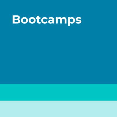 07 - Lo de los Bootcamps