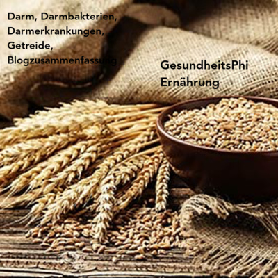 GesundheitsPhi: Gesundheit verstehen