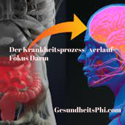 GesundheitsPhi: Gesundheit verstehen