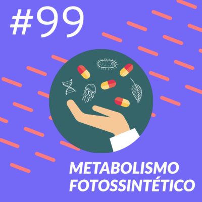 Metabolismo Fotossintético episode artwork