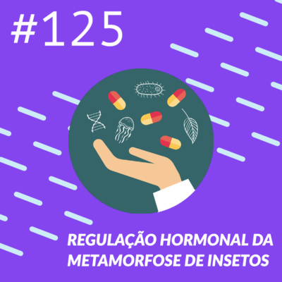 Regulação Hormonal da Metamorfose de Insetos episode artwork