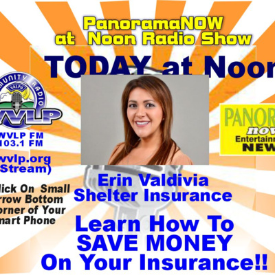 Learn How to Save Money On Insurance From Erin Valdivia Shelter Insurance