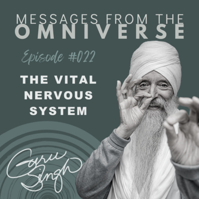 EP [022] The Vital Nervous System  episode artwork