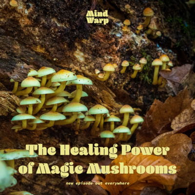 The Healing Power of Magic Mushrooms