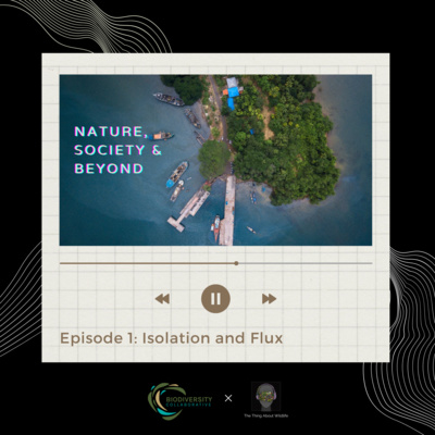 Nature, Society and Beyond: Isolation and Flux